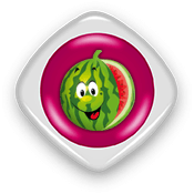 watermelon btn